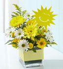 /images/90922^1lg.jpg It's Your Sunny Day